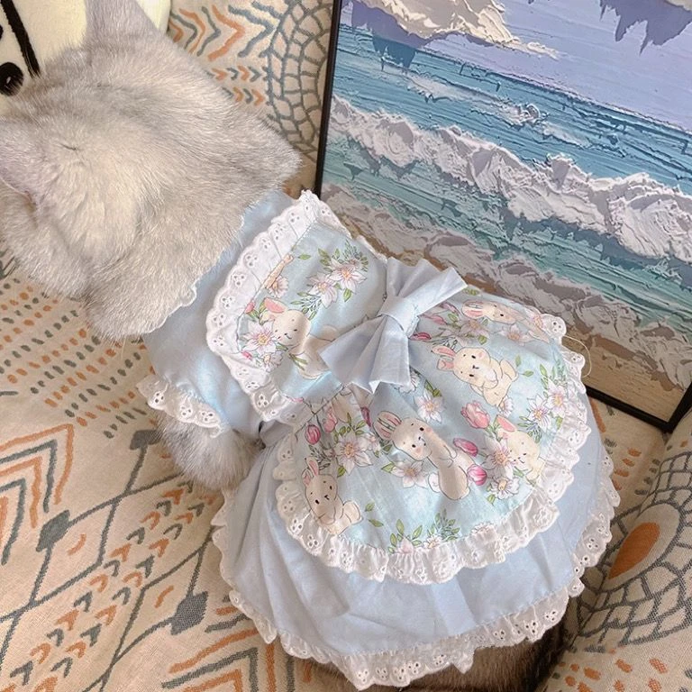 Lace Teddy Lingerie - Haustier niedlichen Schürze Kleid Spitze Blumen